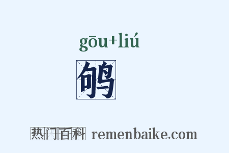 鸲鹠是什么意思的图片